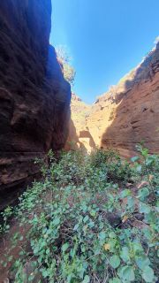 2022-02-GranCan-Barranco_Las_Vacas-PM-NN-20.jpg